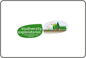 Biodiversity Exploratories Biodiversity Exploratories